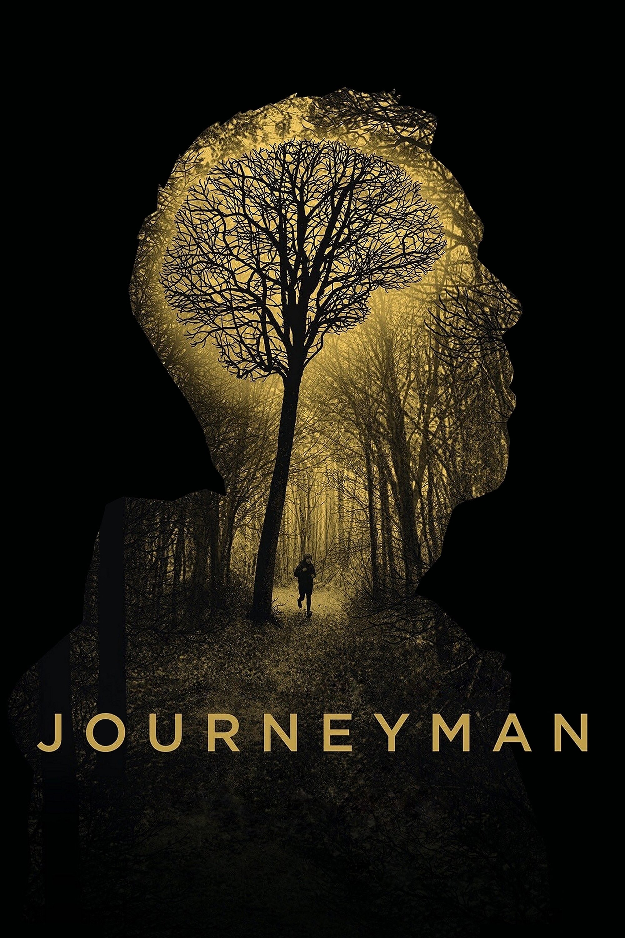 Постер Journeyman